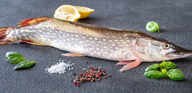 Raw northern spike with seasonings on dark table