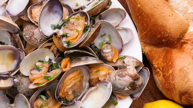 Raw Ocean Top Closeup View of Fresh Clams Ready to be Savored in 4k