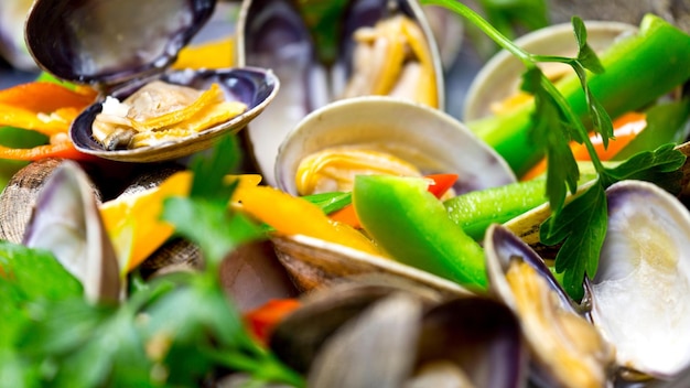 Raw Ocean Top Closeup View of Fresh Clams Ready to be Savored in 4k