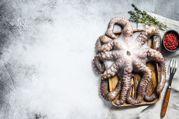 Raw octopus in a bowl. Organic seafood. Gray background