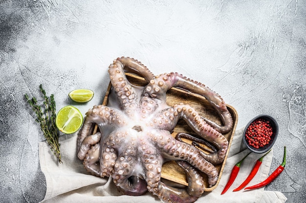 Raw octopus in a bowl. Organic seafood