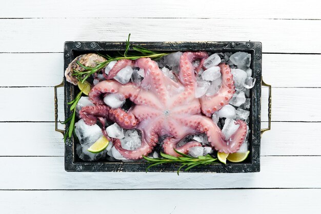 Raw octopus in a box with ice Free space for your text flat lay