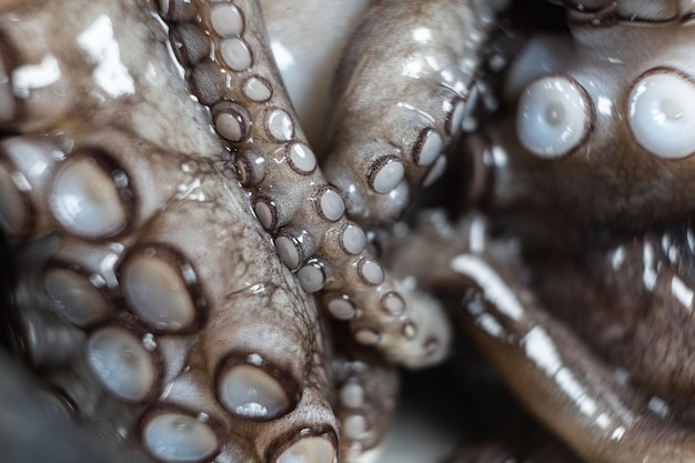 Raw octopus ready to cook a dish in an iron plate on a black background