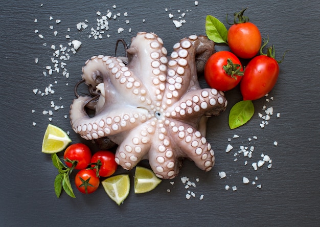 Raw octopus with lime, tomatoes and basil top view