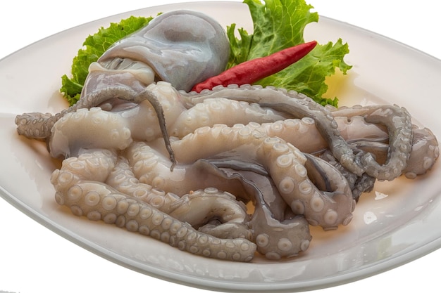 Raw octopus