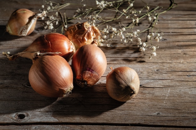 Raw onions close-up in the morning light