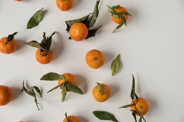 Raw oranges and tangerines with leaves