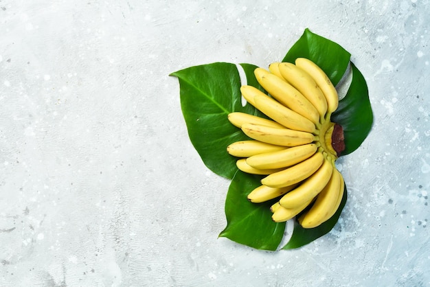 Raw organic bouquet of bananas ready to eat on a stone background Free copy space Top view