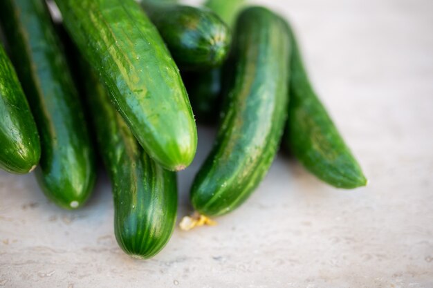 Raw Organic Cucumbers harvest Ready to Eat