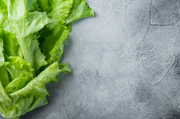 Verde biologico crudo, lattuga di quercia, su sfondo grigio con copia spazio per il testo