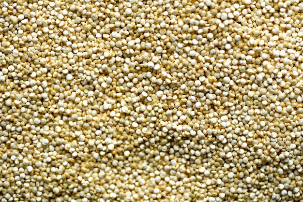 Raw organic quinoa grains texture. Food ingredient. 