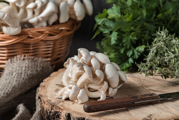 Foto funghi crudi dell'ostrica con il coltello sulla sezione trasversale del grande vecchio albero sulla tavola rustica.