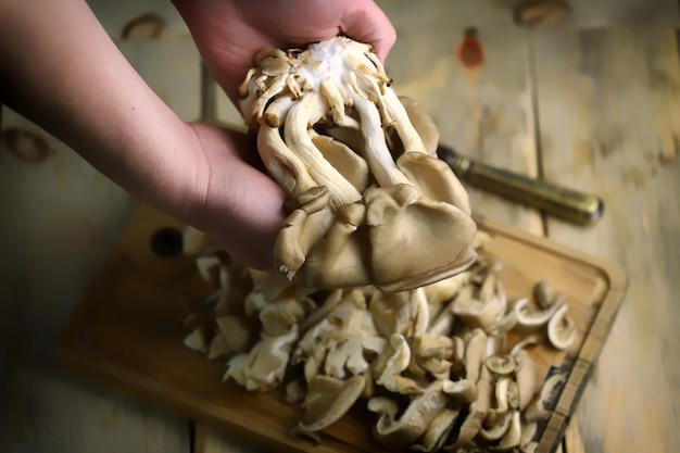 Raw oyster mushrooms