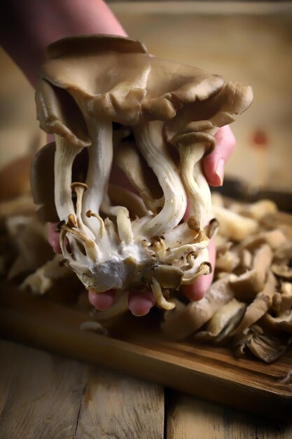 Raw oyster mushrooms