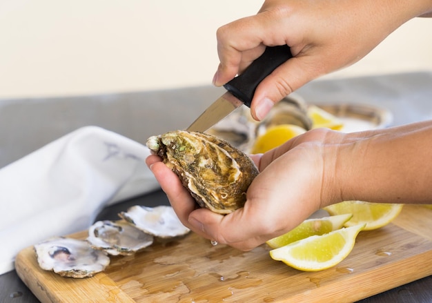 Raw oysters shells