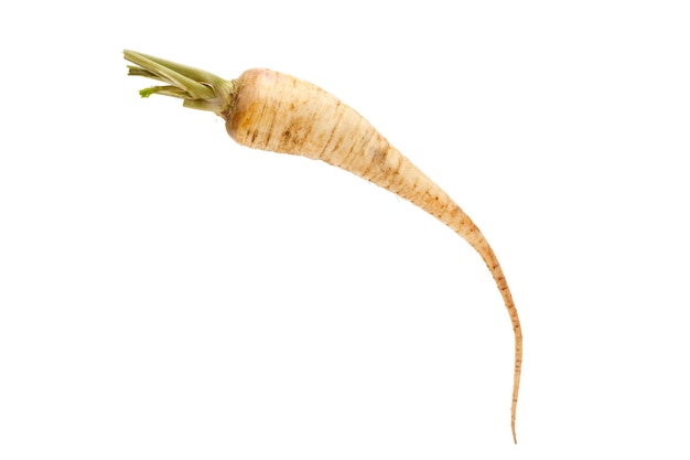 Raw parsley root isolated on white background