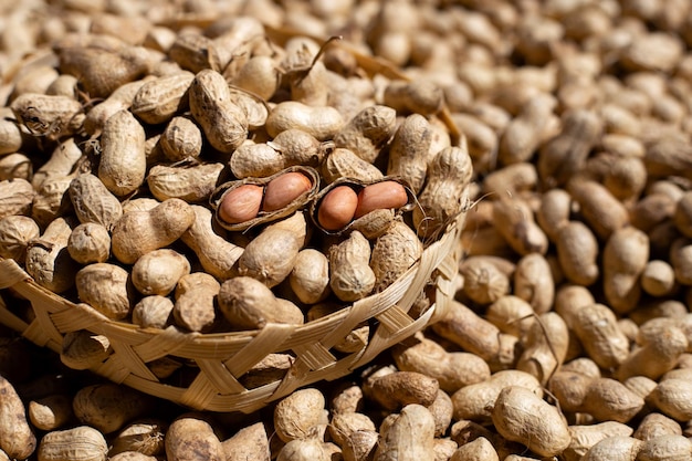 Raw peanuts in bamboo basket