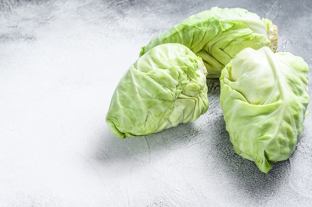 Raw Pointed white cabbage head