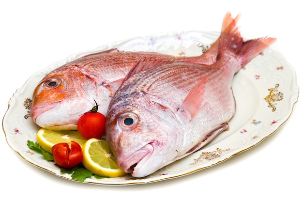 Raw porgy on white background