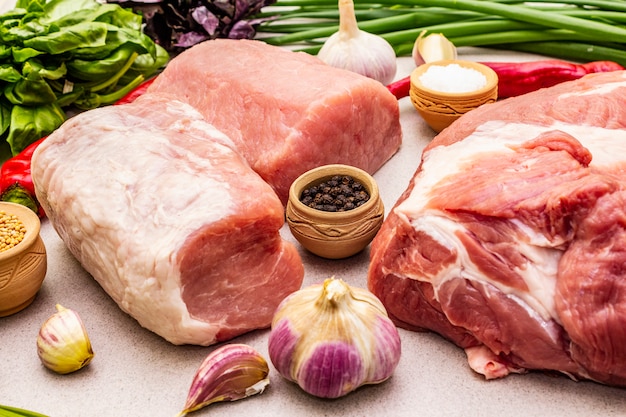 Raw pork meat with spices and fresh herbs