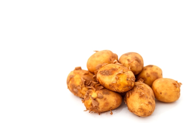 Raw potato feed on isolated. Fresh potatoes