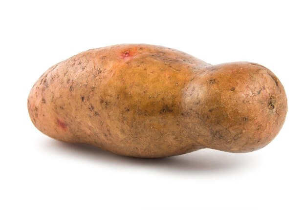 Raw potatoes isolated on a white background