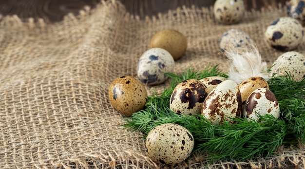 Raw quail eggs on a rough cloth