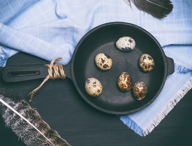Сырые перепелиные яйца в скорлупе лежат на чугунной сковороде