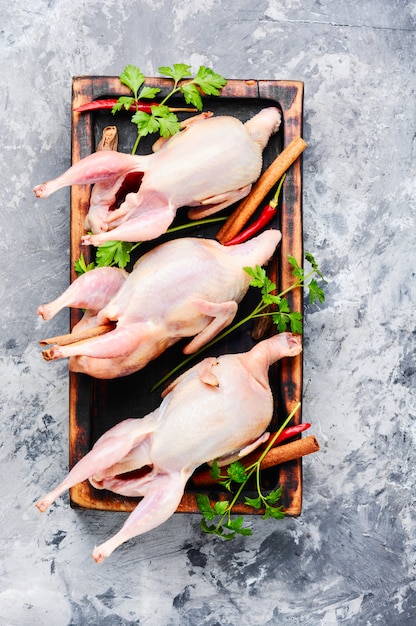 Raw quail with herbs