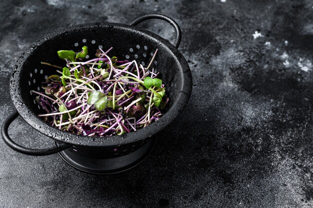 Raw radish cress sprouts  in a colander