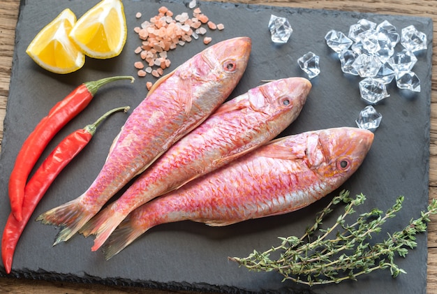 Raw red mullet with ingredients