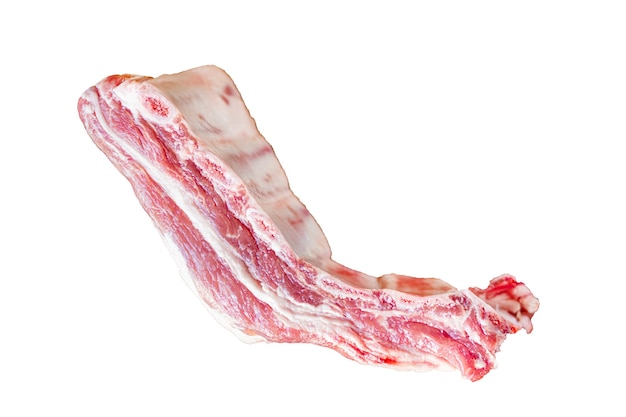 Raw ribs fresh pork meat on the bone beef or lamb snack meal