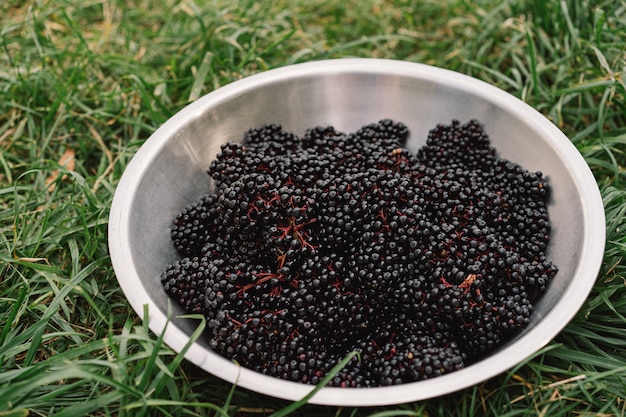 푸른 잔디 위에 서 있는 그릇에 익은 익지 않은 엘더베리는 과일 검은 엘더베리를 클러스터링합니다.