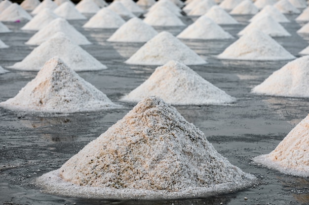 Photo raw salt in samut songkhram thailand