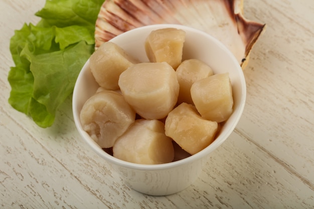 Raw scallops heap