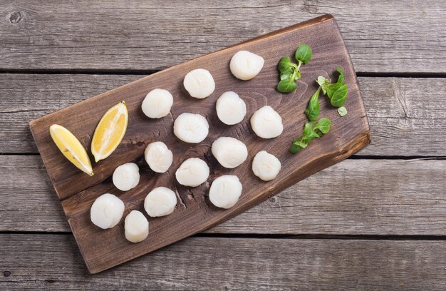 Raw scallops with salad Fresh delicious seafood