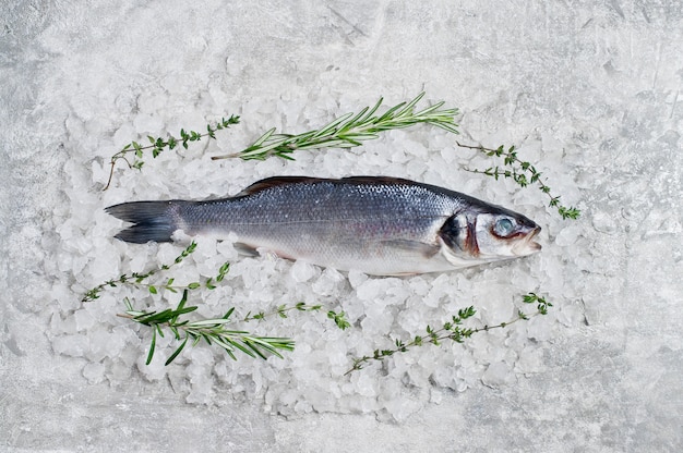 Foto branzino crudo su ghiaccio con rosmarino e timo.