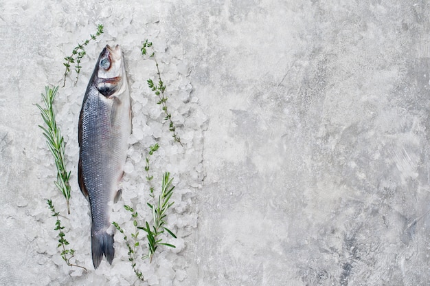 Raw sea bass on ice with rosemary and thyme.