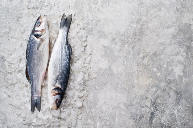 Raw sea bass on ice. 