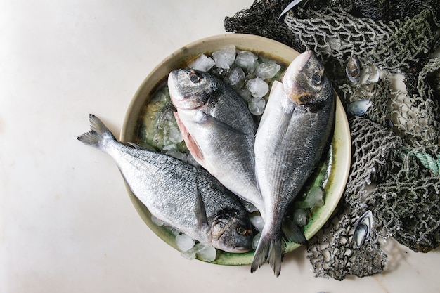 Raw sea bream fish