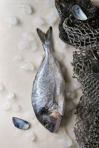 Pesce crudo di orata