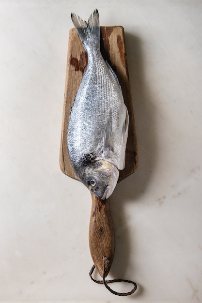 Photo raw sea bream fish