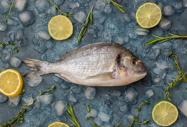 Raw Sea bream on ice