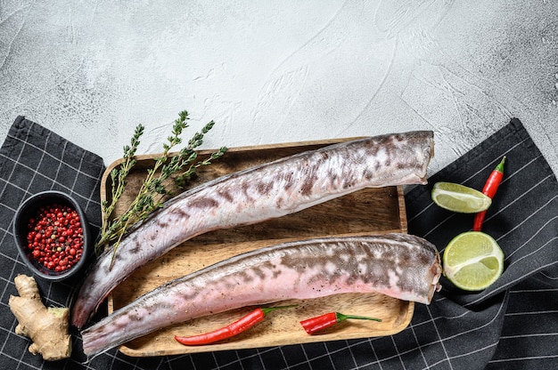 Raw sea eel fish with cooking ingredients. gray background