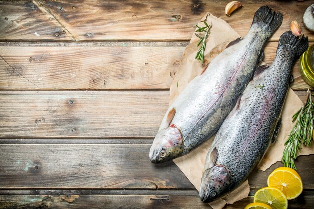 古い紙に生の海魚サーモン、レモンスライスと香りのよいローズマリーを添えて