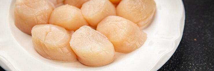 Photo raw sea scallop seafood fresh tasty food dish delicious gourmet food background on the table rustic food top view copy space keto and paleo diet vegetarian food pescetarian diet