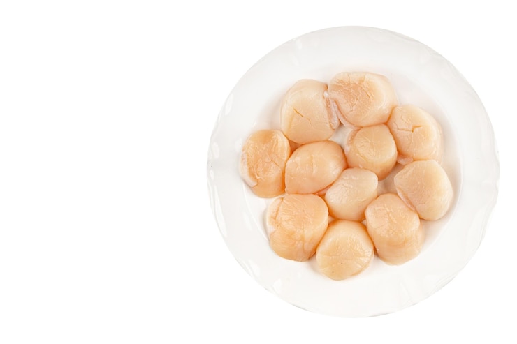 Photo raw sea scallop seafood fresh tasty food dish delicious gourmet food background on the table rustic food top view copy space keto and paleo diet vegetarian food pescetarian diet