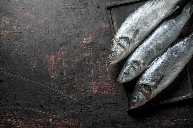 木製のまな板に生のシーバスの魚