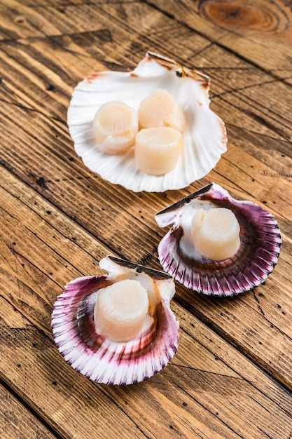 Raw seafood scallops meat on a shells.