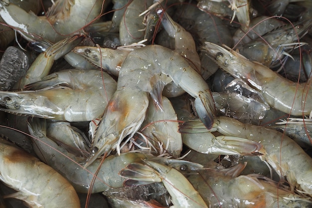 Raw shrimp in local market of Thailand 